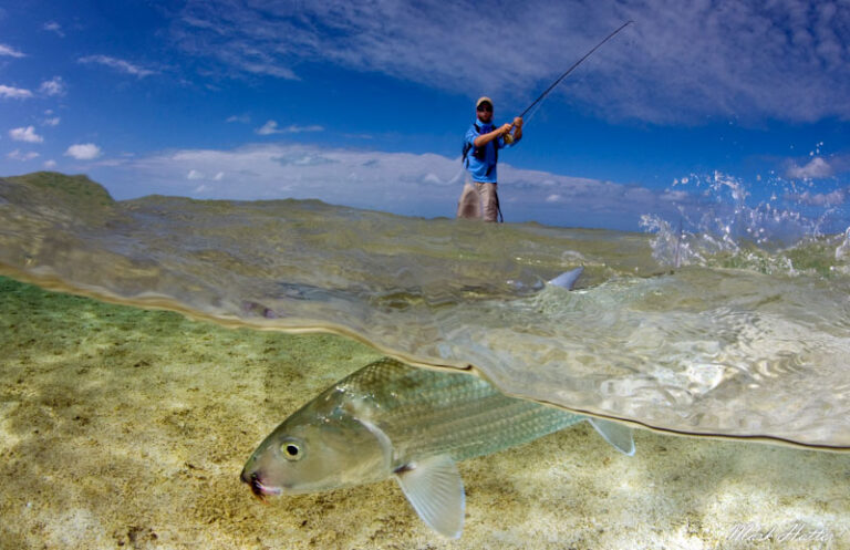 Mastering the Art of Split Level Photography splitmark2