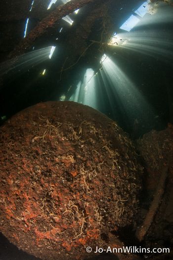 st lawrence river scuba diving