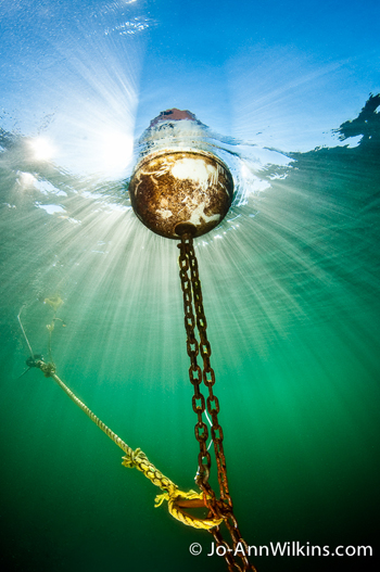 st lawrence river scuba diving
