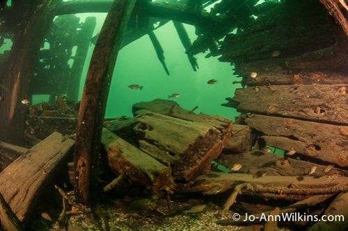 st lawrence river scuba diving