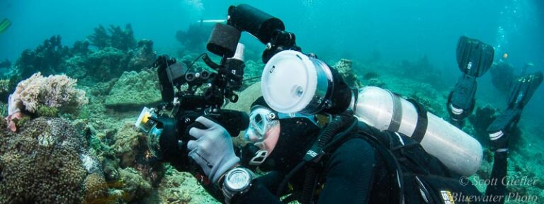 Strobe Positioning strobe-position