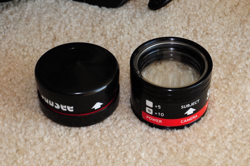 Supermacro with the New SubSee Diopter subsee-3