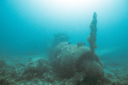 sunken bomber underwater in papua new guinea