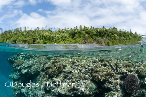 island view of tonga