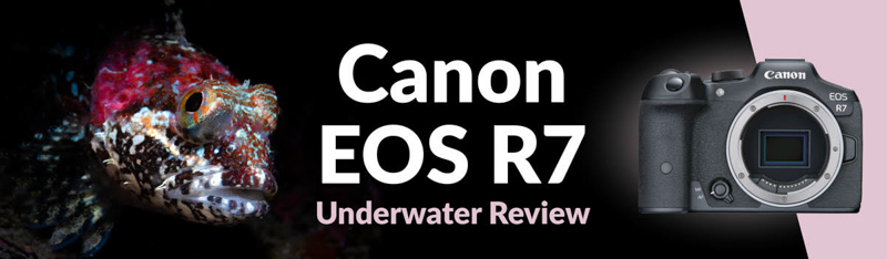 体彩官方幸运5开奖频率与时间表详情 Canon EOS R7 Review