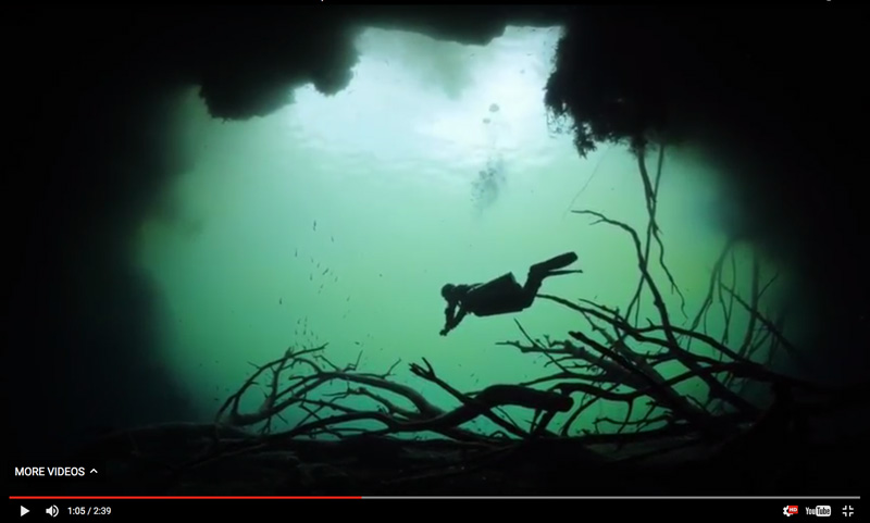 The Yucatán Dive Trek: Behind the Scenes