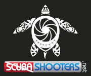 ScubaShooters