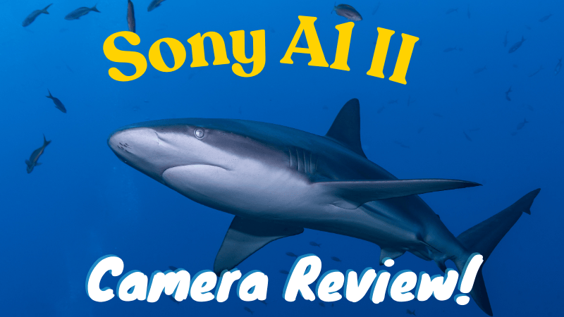 Sony A1 II Review